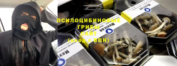 первитин Богданович