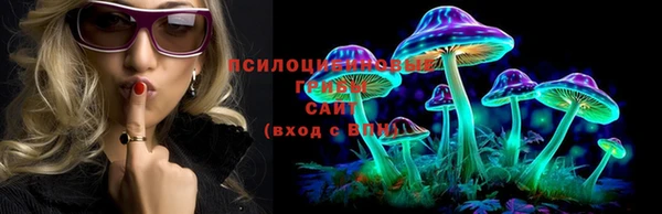первитин Богданович