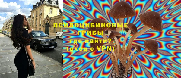 первитин Богданович