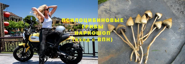 первитин Богданович