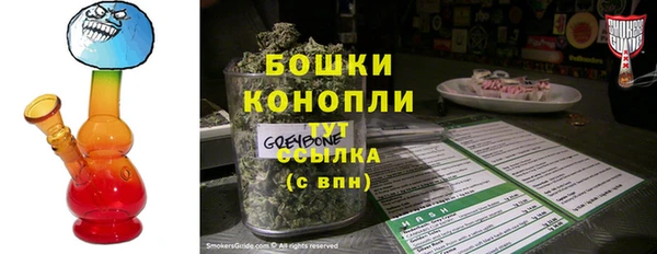 первитин Богданович