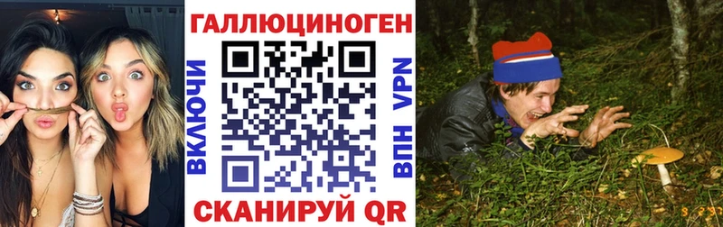 купить наркотик  Кировск  Галлюциногенные грибы мицелий 